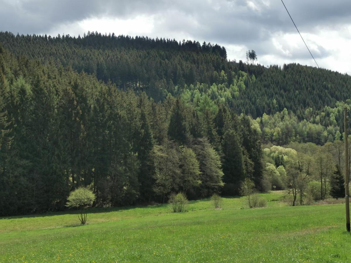 Ferienhaus Mit Ausblick Villa Brilon Dış mekan fotoğraf