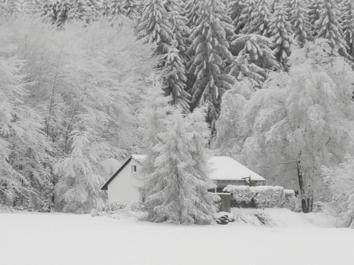 Ferienhaus Mit Ausblick Villa Brilon Dış mekan fotoğraf