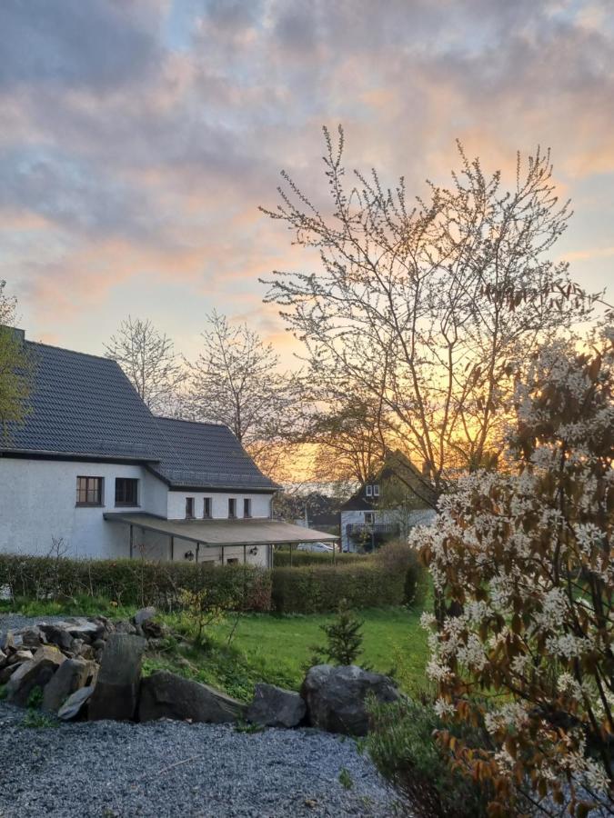 Ferienhaus Mit Ausblick Villa Brilon Dış mekan fotoğraf